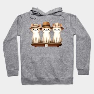 Cats In Hats Hoodie